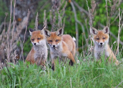 Q16qDhfmW54.jpg Q16qDhfmW54.jpg