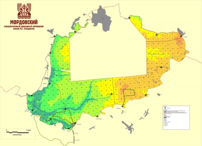 Xd9MFD3vuZU.jpg Xd9MFD3vuZU.jpg