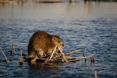 mZenki57GcY.jpg mZenki57GcY.jpg