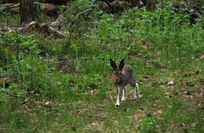 tjBpxQiwLqk.jpg tjBpxQiwLqk.jpg