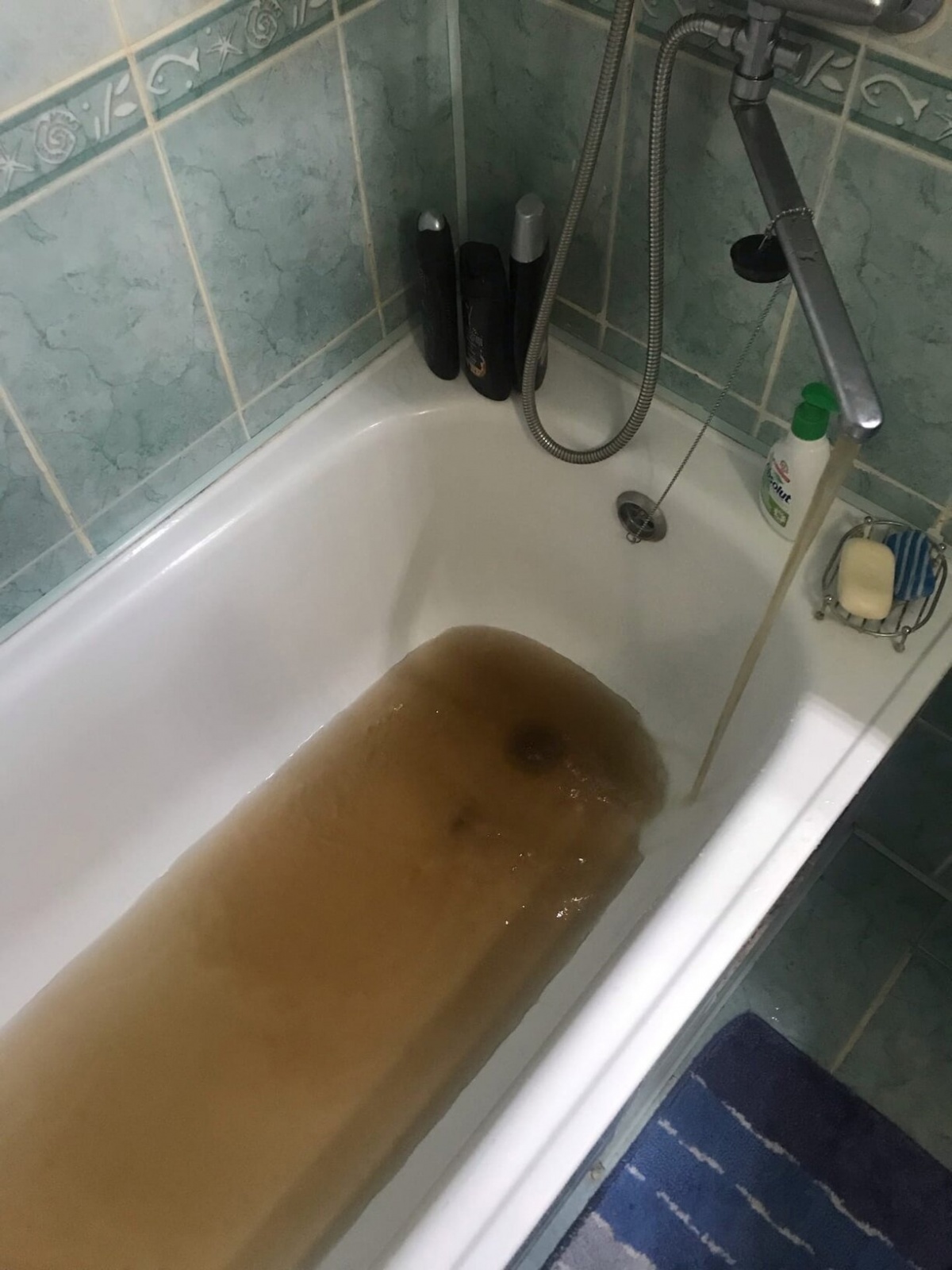 7VZujuivtjQ.jpg 7VZujuivtjQ.jpg