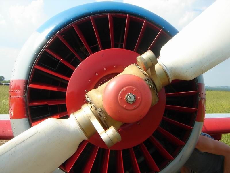 Богородск-2006