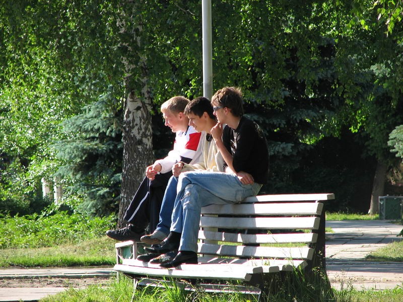 петухи сидят на насесте