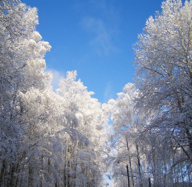 Снежный Саров-4