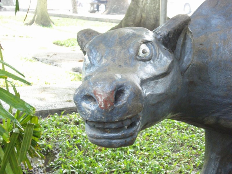 0322 Здрасьте