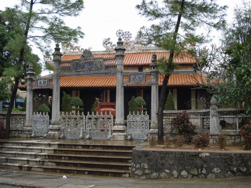 0303 Меж сосен