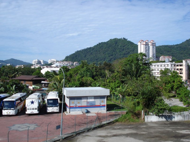 0524 Джунгли зовут