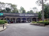 0506 Вход в Негара