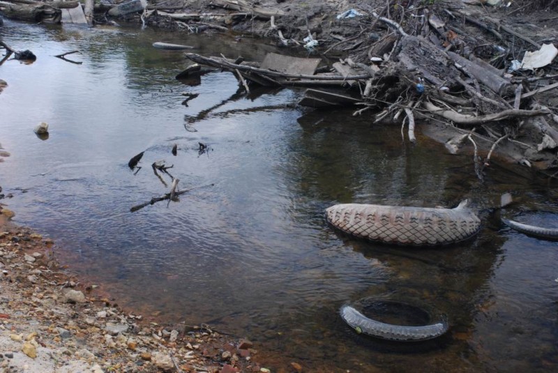 р.Сатис, 2008 37