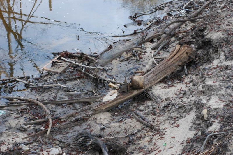 р.Сатис, 2008 29