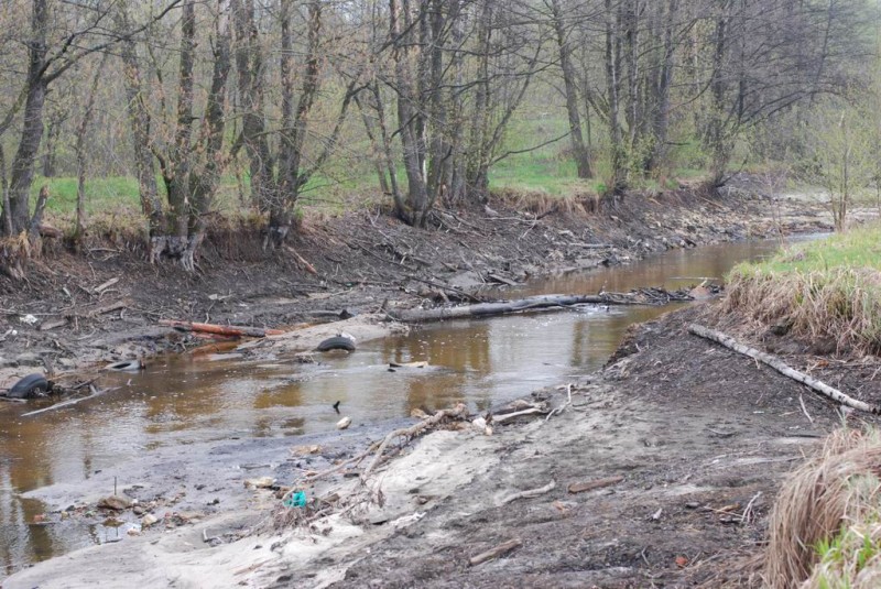 р.Сатис, 2008 24