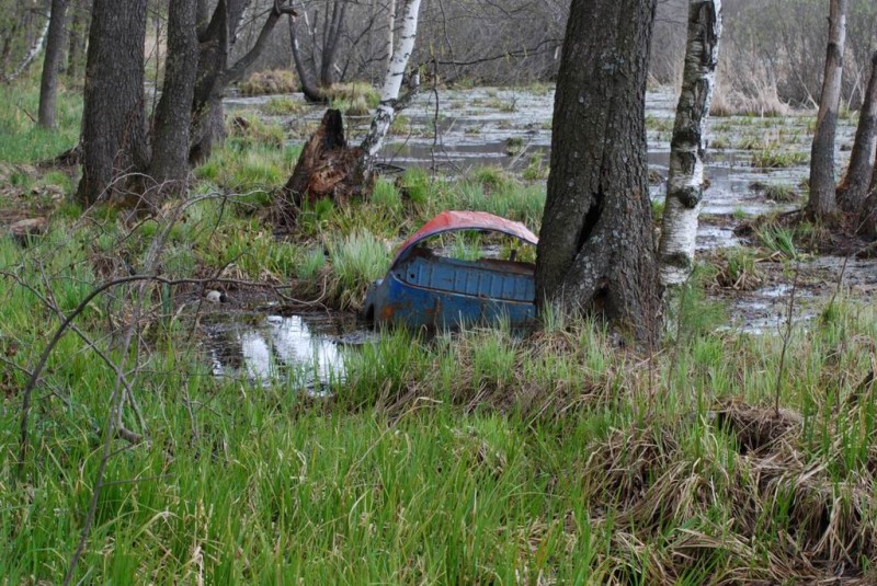 р.Сатис, 2008 01