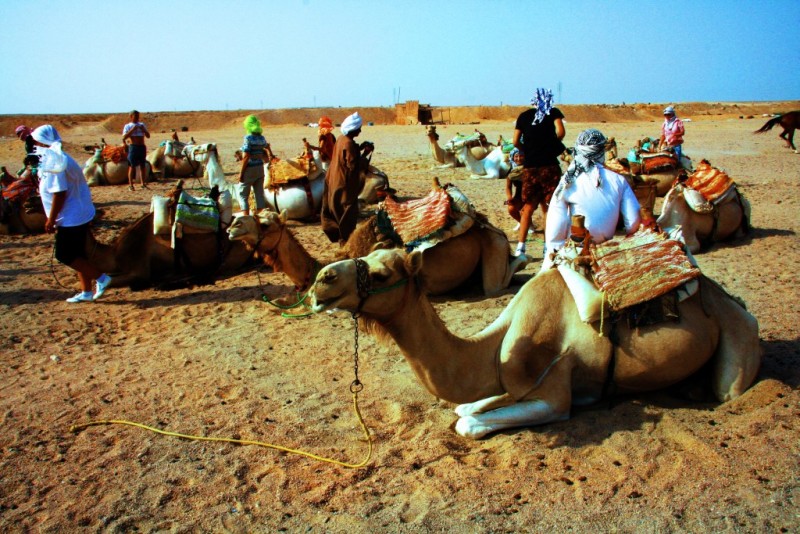 26-04 Не забывайте оплачивать проезд.jpg