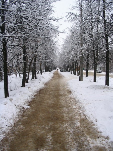 Аллея у завода 1