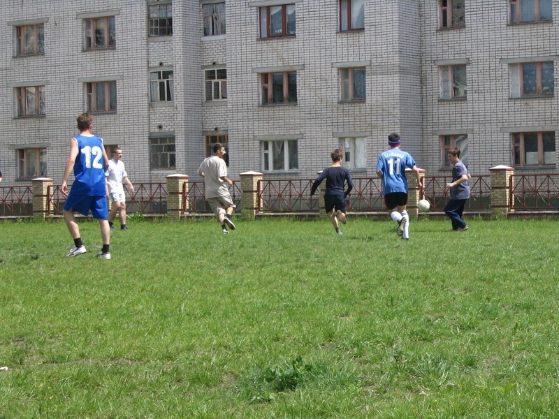 Dolphin в атаке